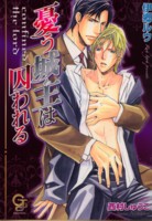 憂う城主は囚われる